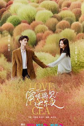 本溪网站优化推荐苹果版